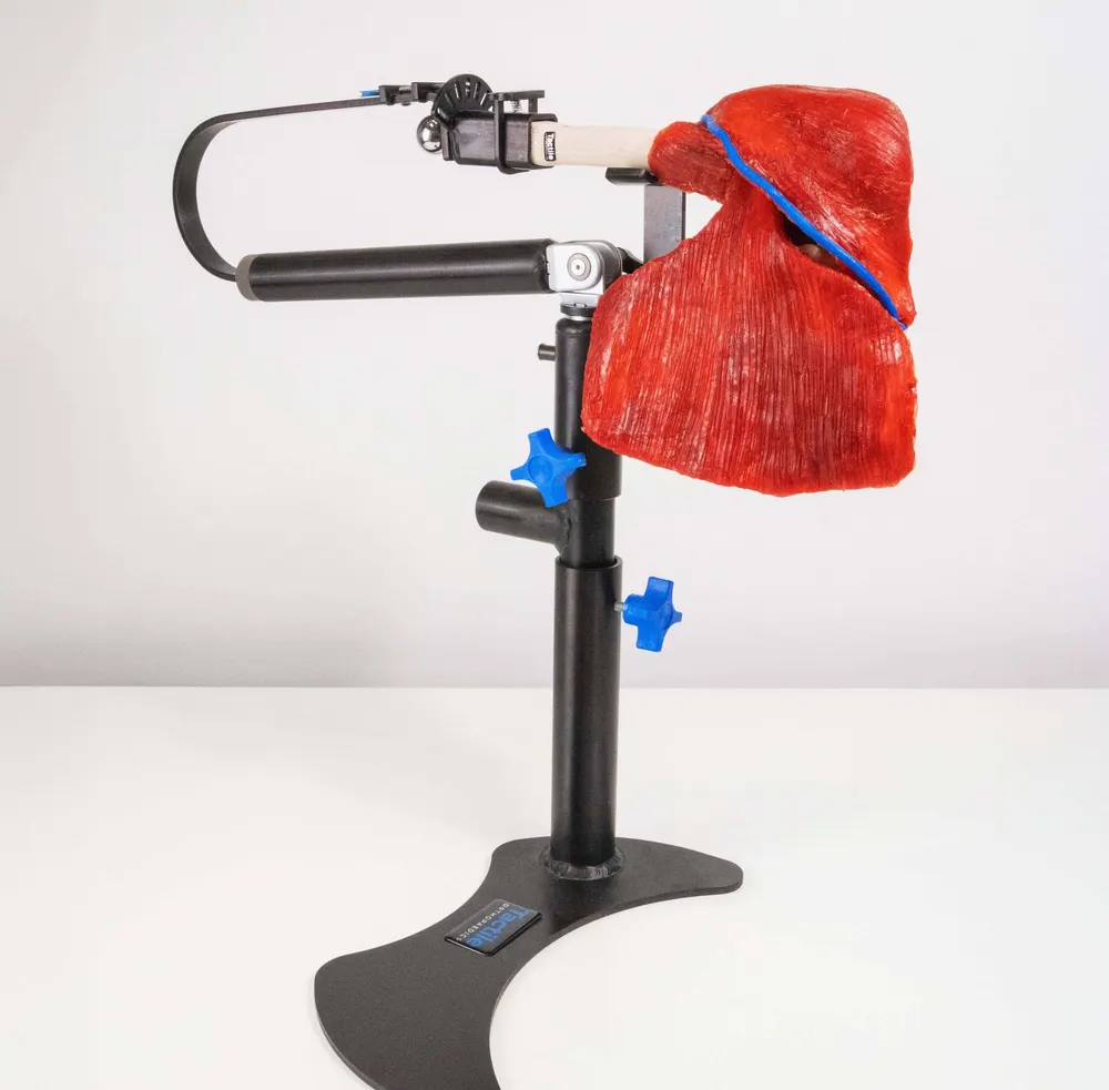 Dynamic Joint Positioner